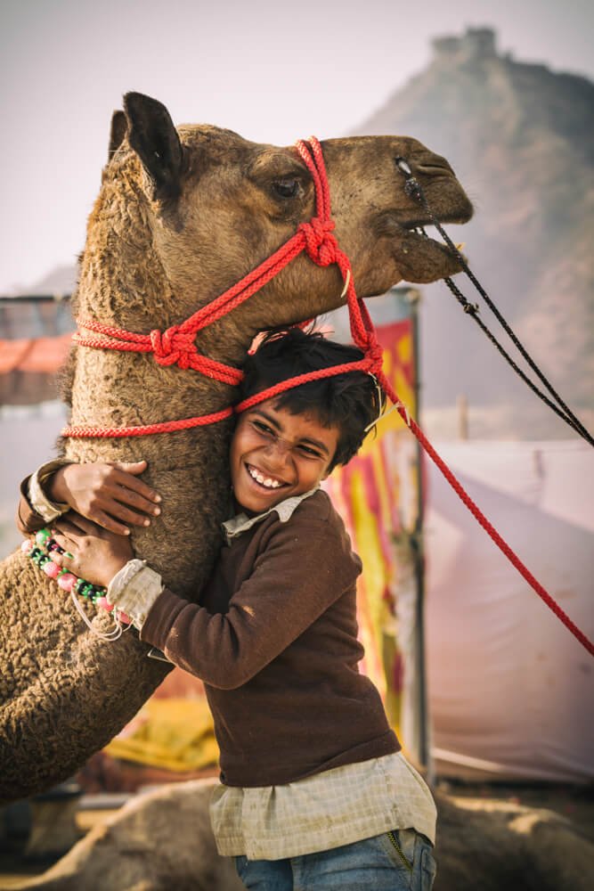 best-camel-fair-photos-photomentor