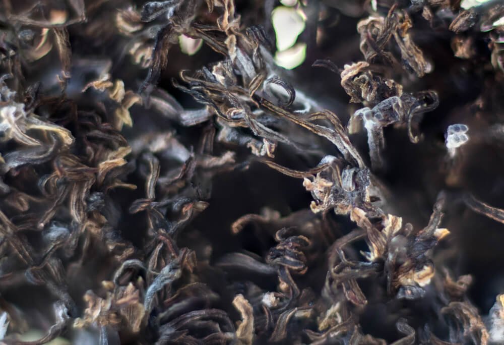 creative-abstract-photos0photomentor