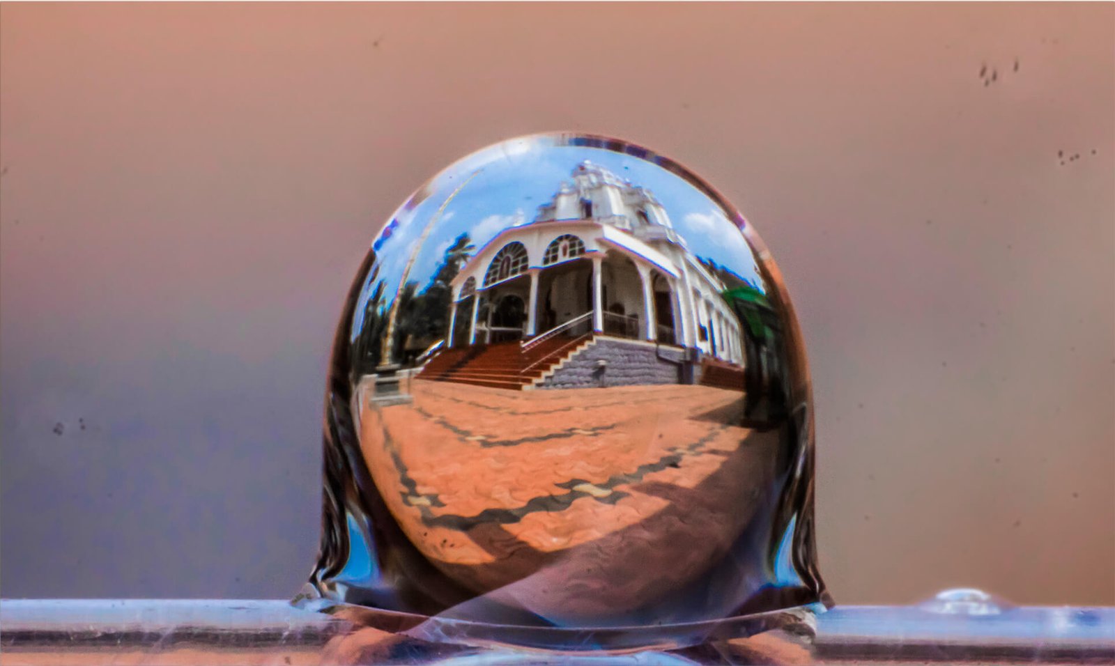 macro-images-photomentor