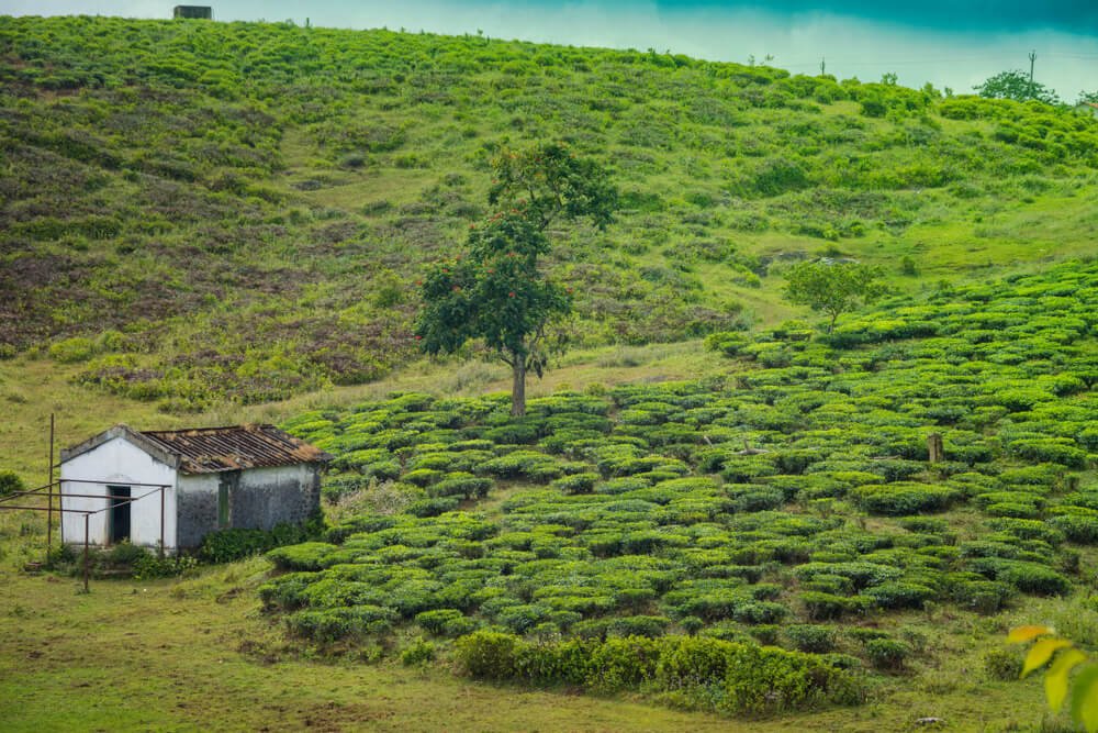 scenery-photography-photomentor