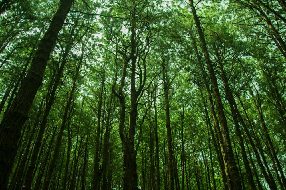 scenery-photos-photomentor