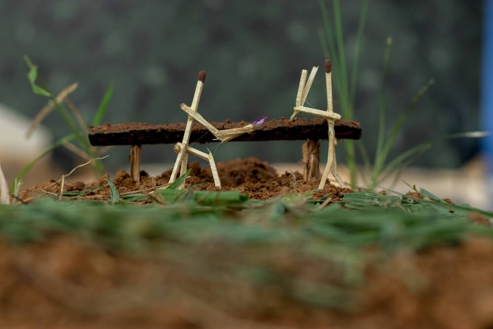 best-match-stick-creativity-photomentor