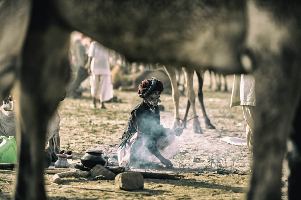 camel-fair-images-photomentor