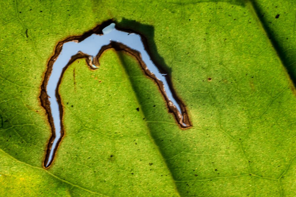 abstract-image-photomentor