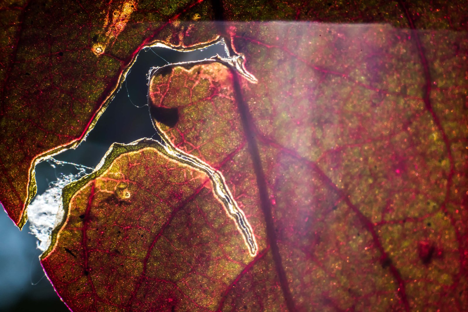 best-abstract-photos-photomentor