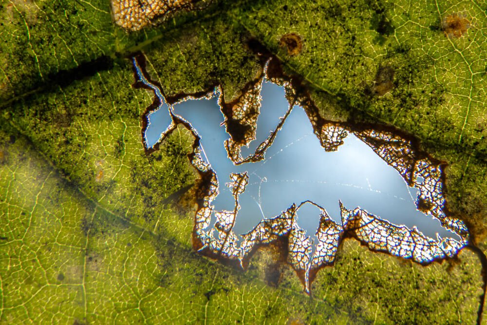 top-abstract-photos-photomentor