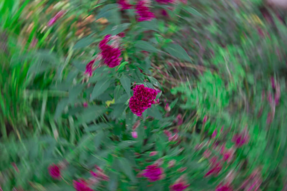 best_photography_tricks_circle_photomentor_ajaykumarsa