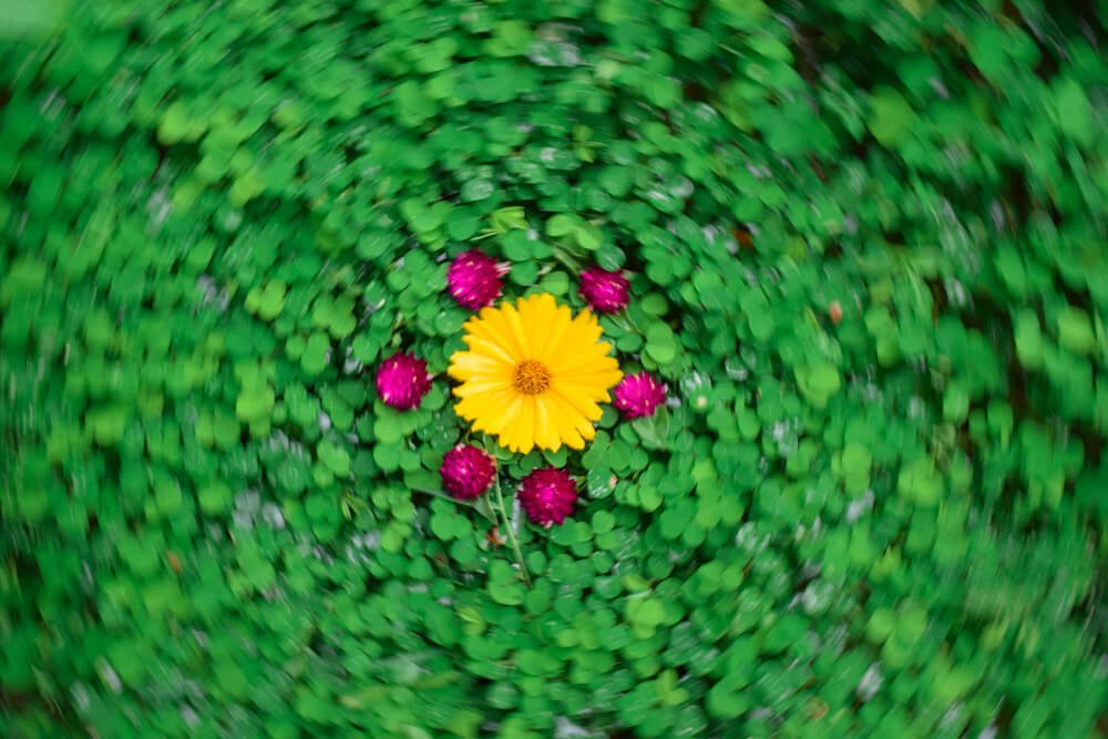 best_photography_tricks_circle_photomentor_aman