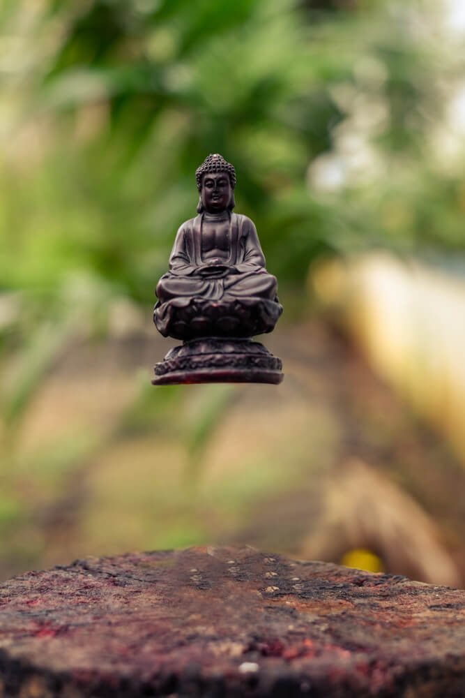 top_Levitation_photography_photomentor_Chaitra.S