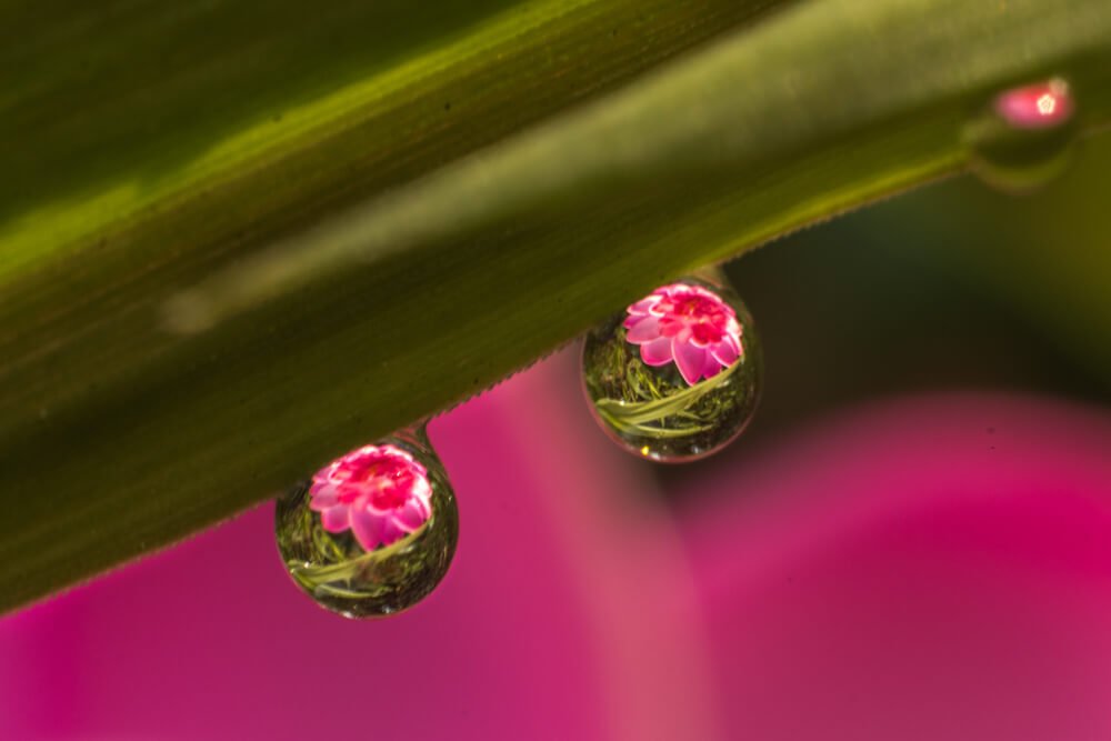 creative-images-of-bubble-photomentor