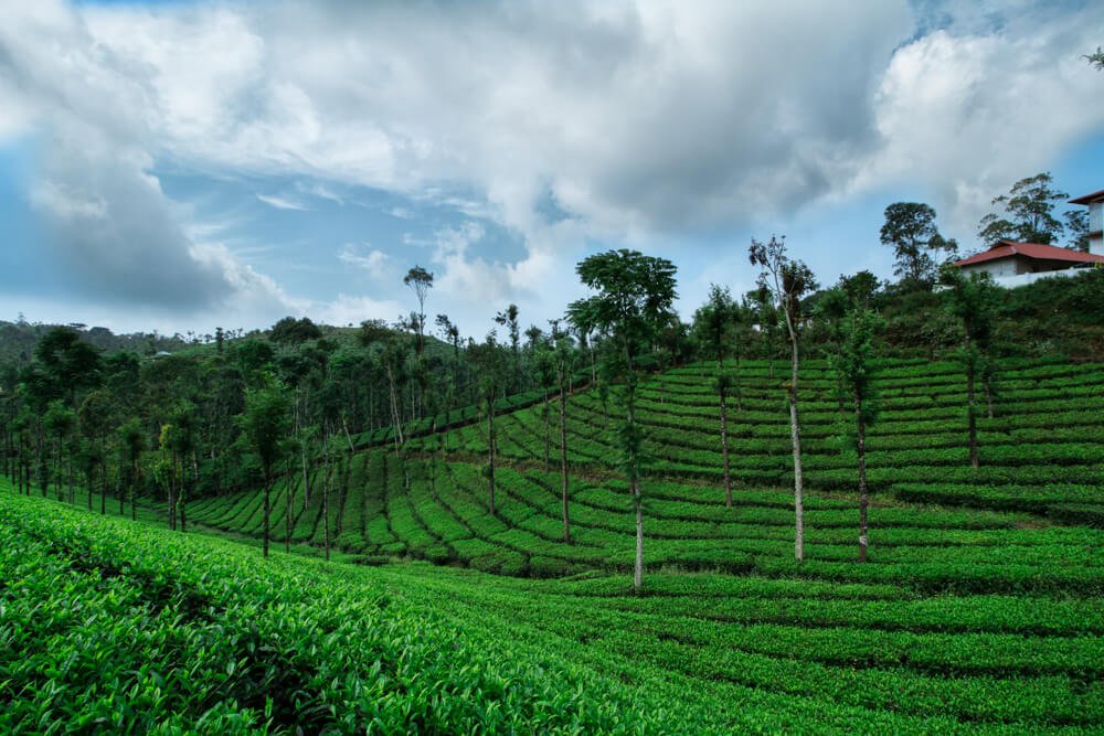 landscape-images-of-kerala-photomentor