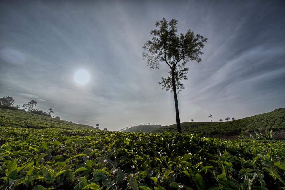 landscape-photos-photomentor