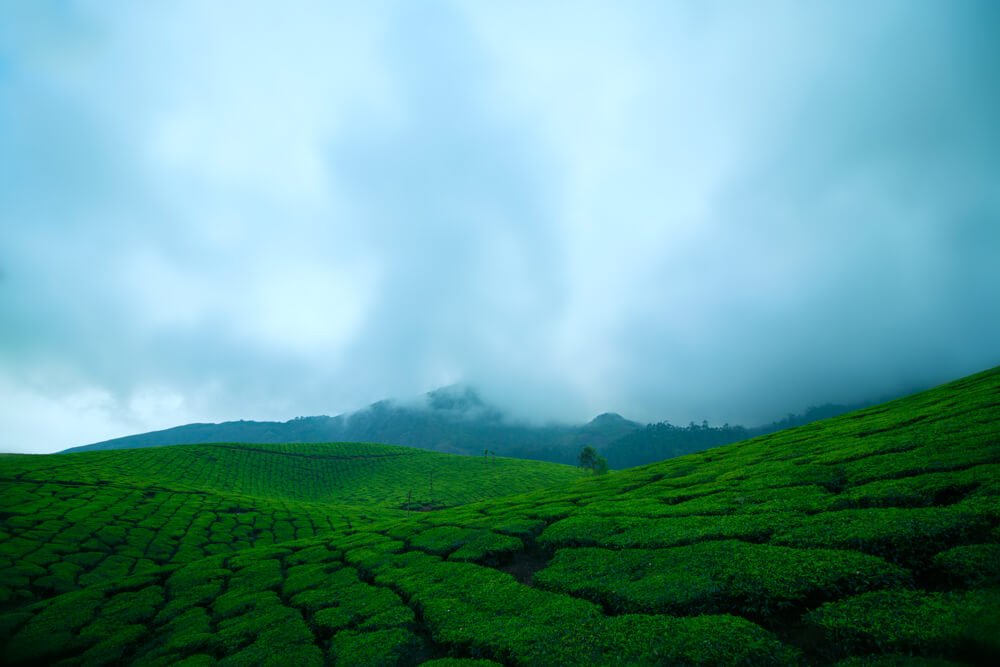 nature-photography-kerala-photomentor