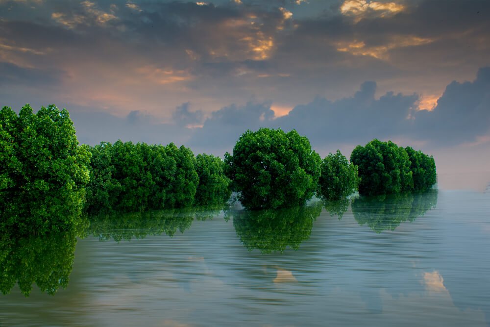 scenery-photography-kerala-photomentor