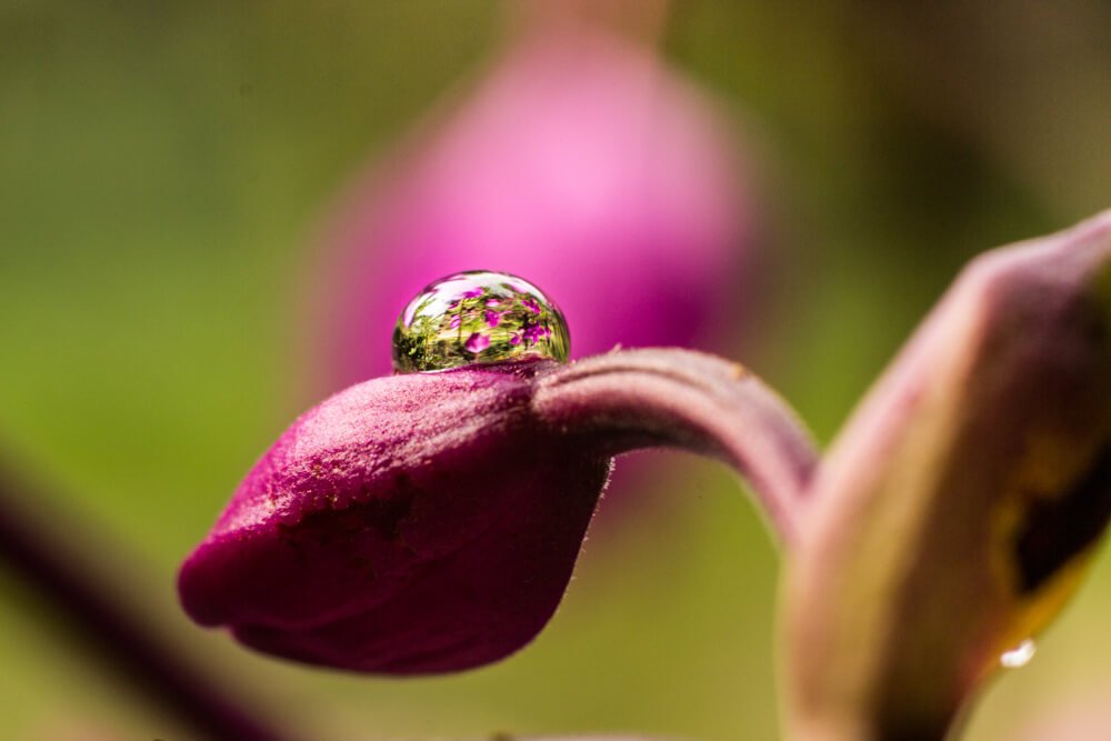water-bubble-photos-photomentor