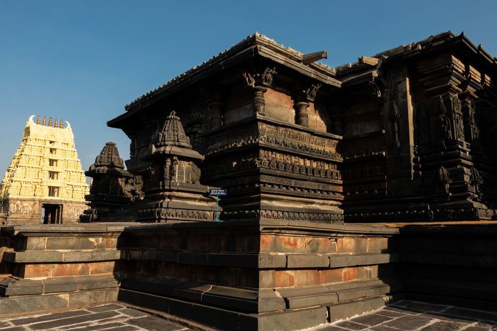 perspective by anshul shani