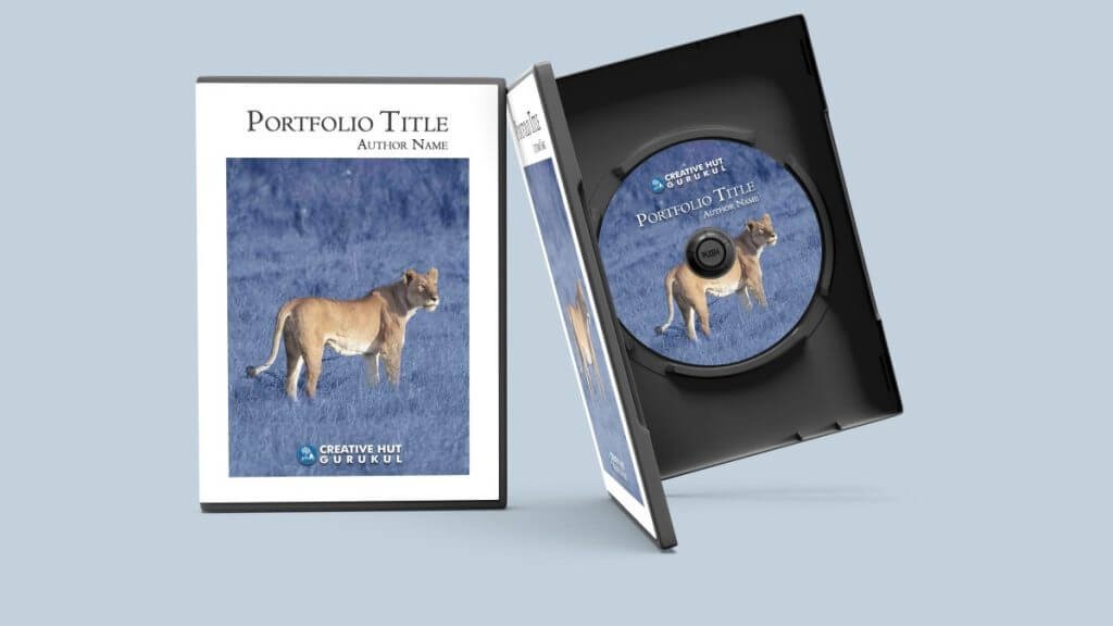 dvd-article-cover-page