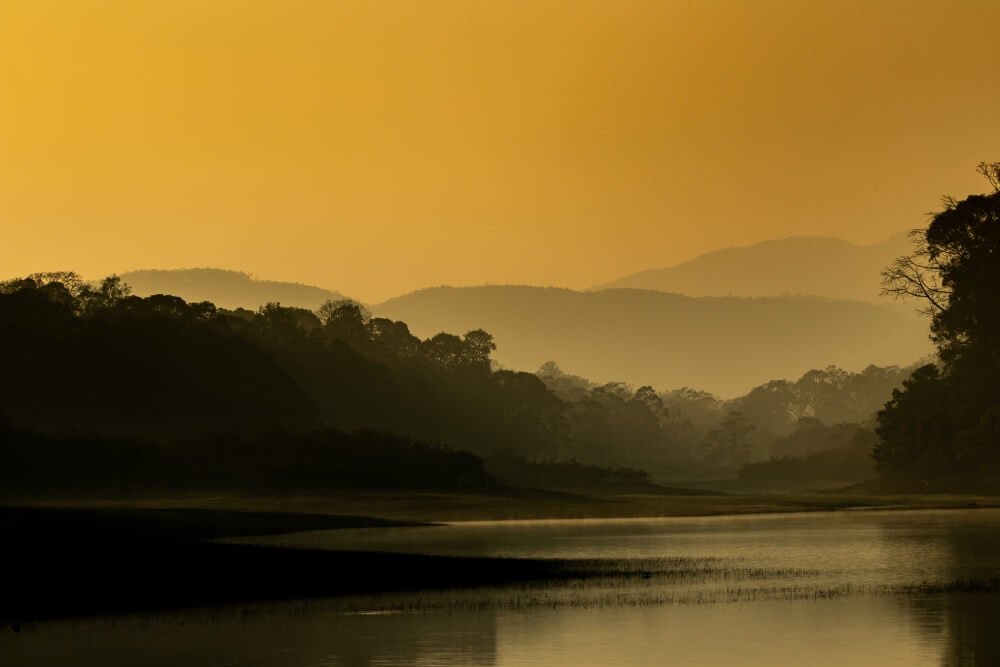 naturephotography wildlife nature landscapephotogaphy