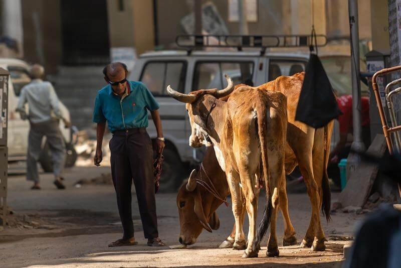 streets of india photography
