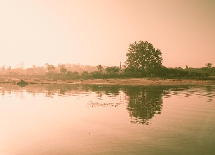 lonely-twin-wood-landscape-photography-bharathi murugan