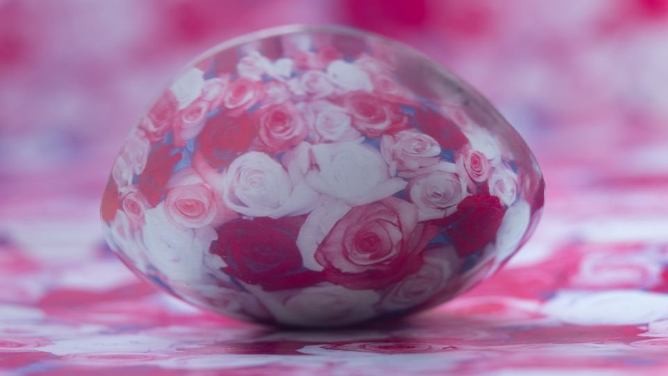 roses-abstract-photography-arjun a raj