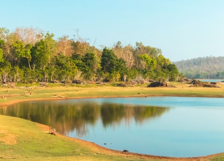 the-mother-nature-landscape-photography-bharathi murugan