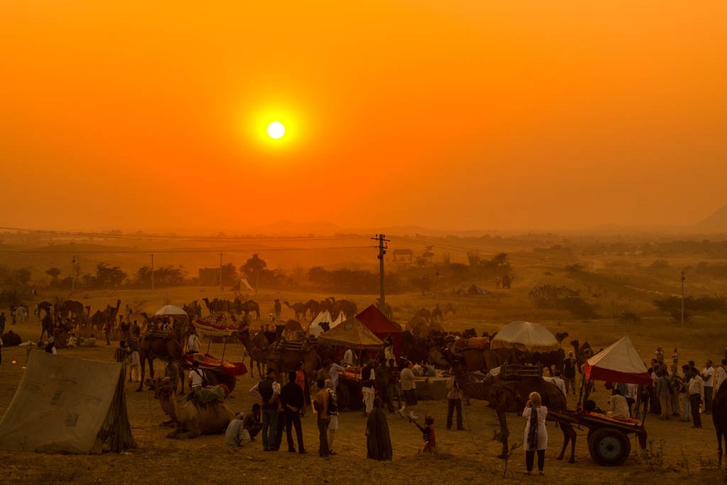 pushker-camel-fest