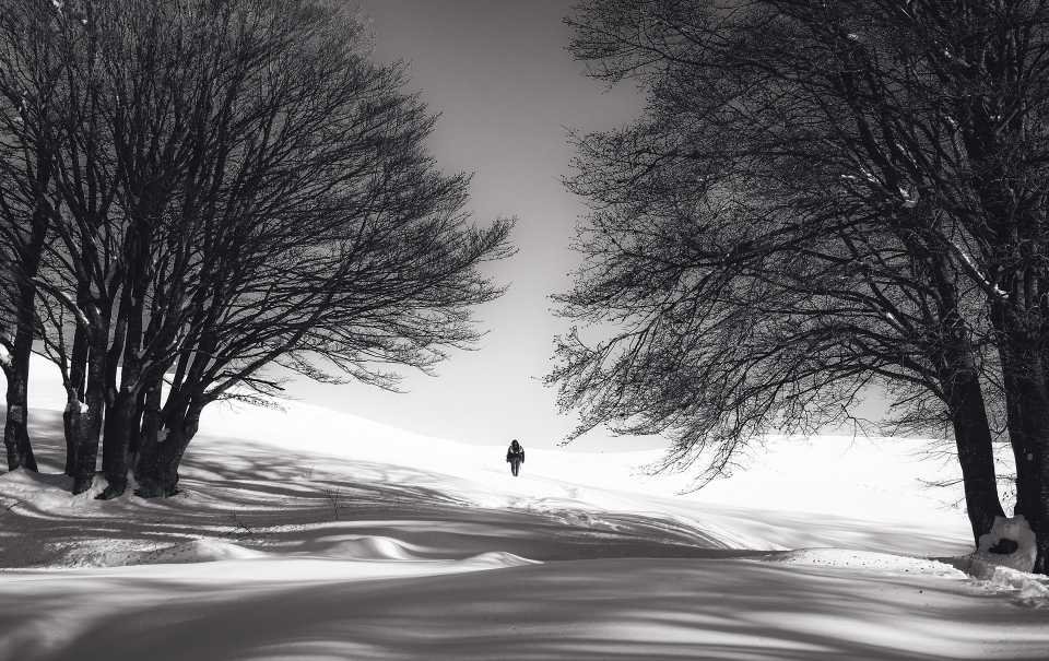 picture-of-snow-falling-abinalex