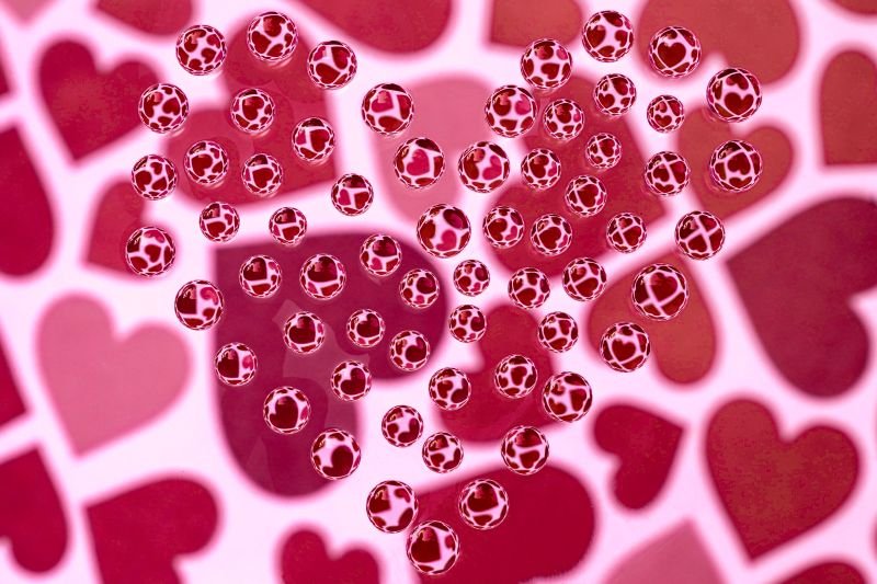 eternal love love that never-ends-muhammed mushin kannur creativehut