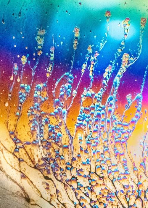 a-walk-in-the-hue-rain