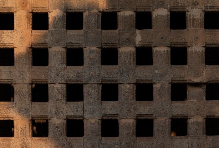 replication-punit