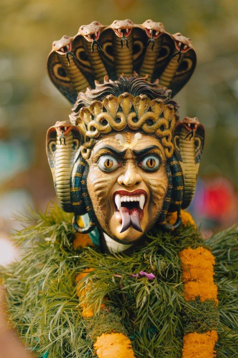 carnivorous rage-prathamesh-marashatra-creativehut