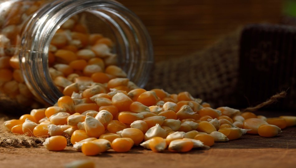 corns-govind