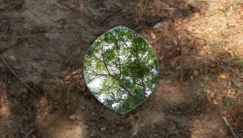 gleams-green-govind