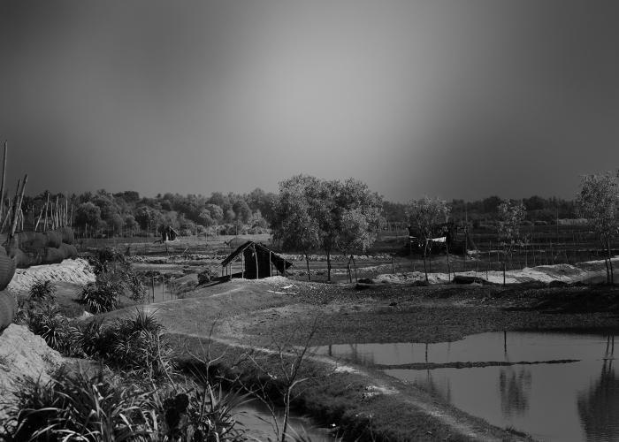 village-bliss-ebin-pj