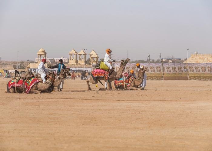 unique-camel-race-udith-ullas