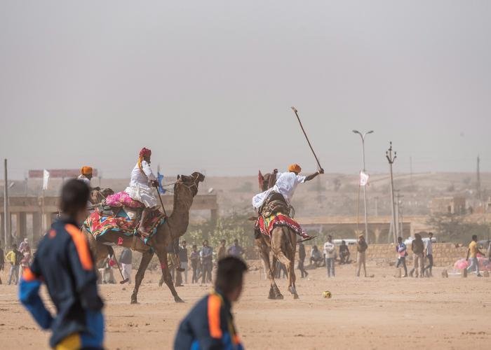 camel-polo-udith-ullas