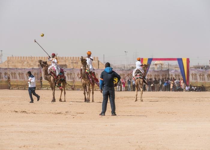 camel-polo-udith-ullas