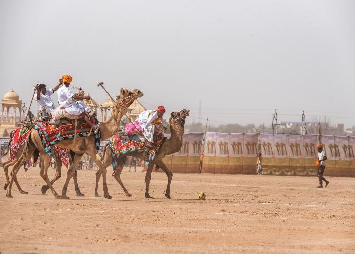 camel-polo-udith-ullas