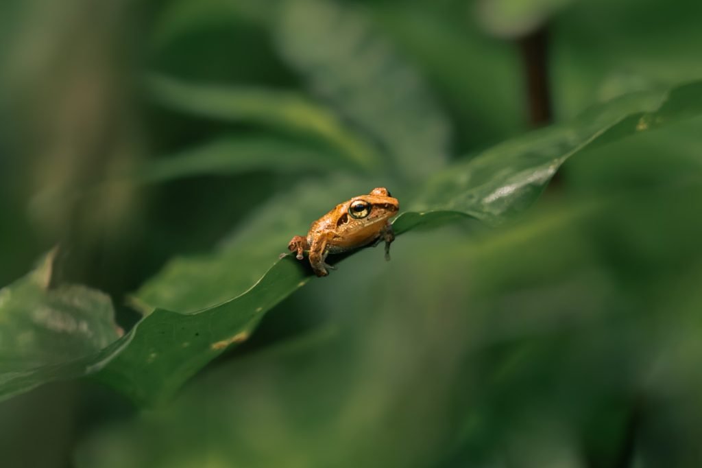 takeoff prep on the brink of a jump architha tamilnadu creativehut
