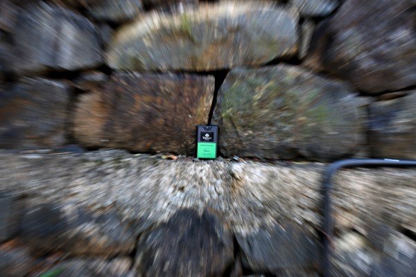 scent in the middle of rocks