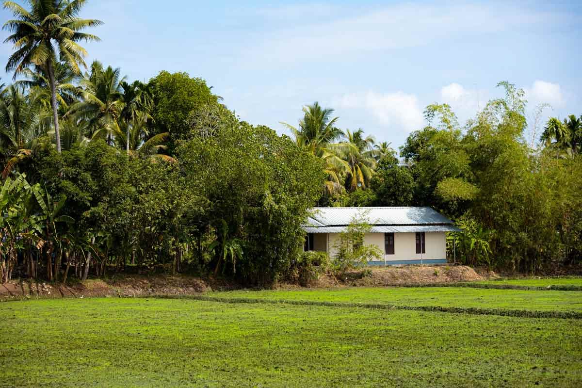 House in farmland covered with trees