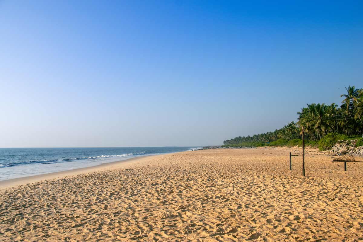 the beautiful beach has coconut trees and warm sand