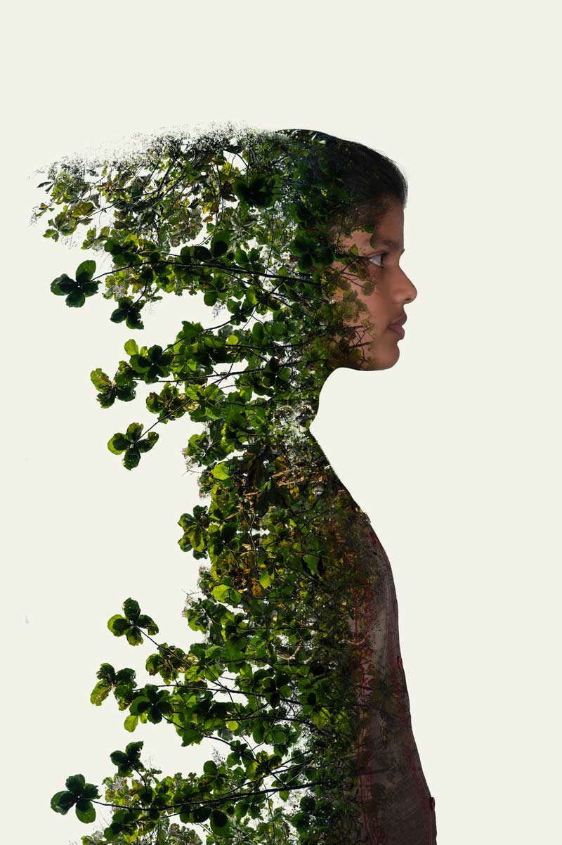 Nature photography becomes a potent storyteller that combines the essence of humanity with nature