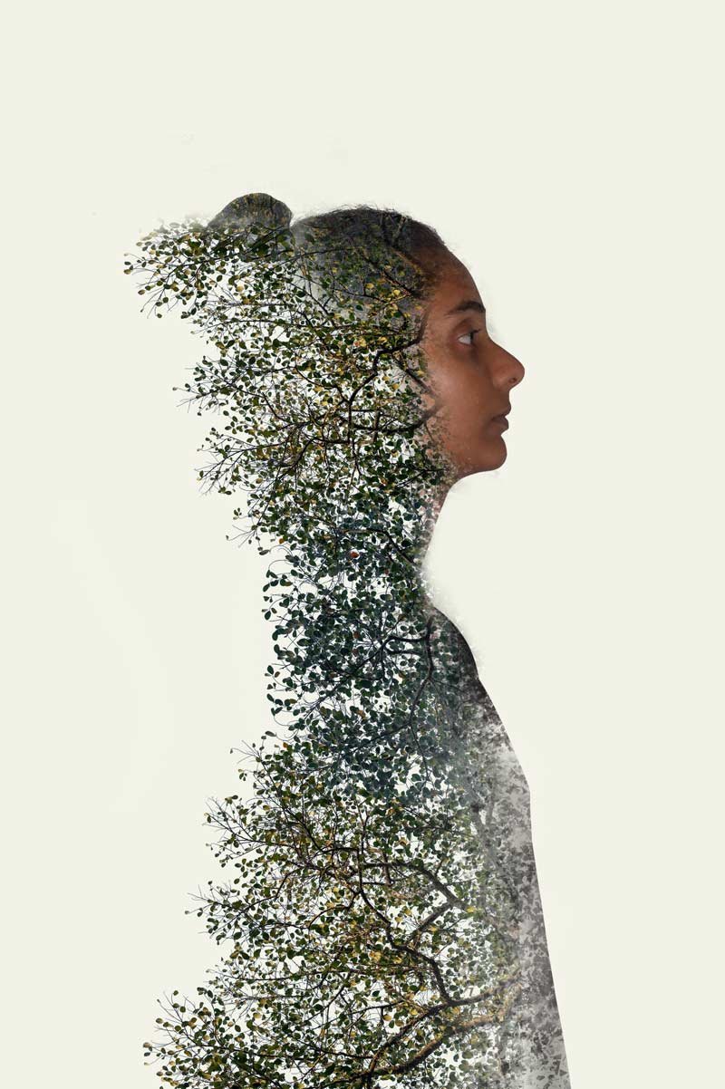 Nature photography becomes a potent storyteller that combines the essence of humanity with nature