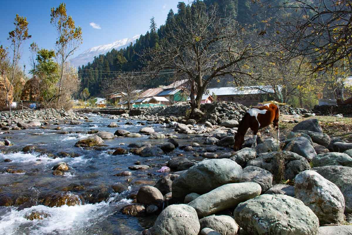 one of the river side in kashmir