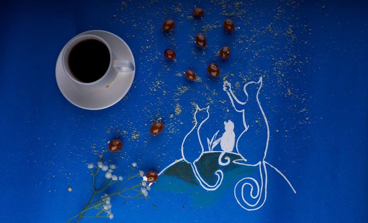 catty cravings john c roy ernakulam creative hut