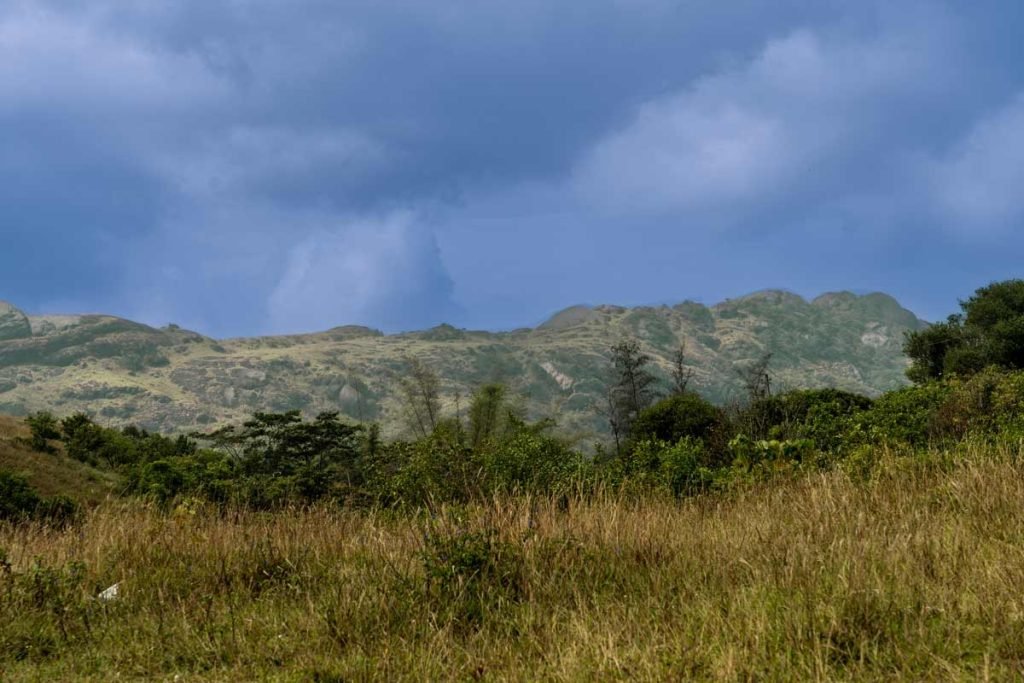 Kolahalamedu
