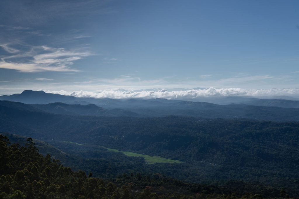 misty peak in Munnar