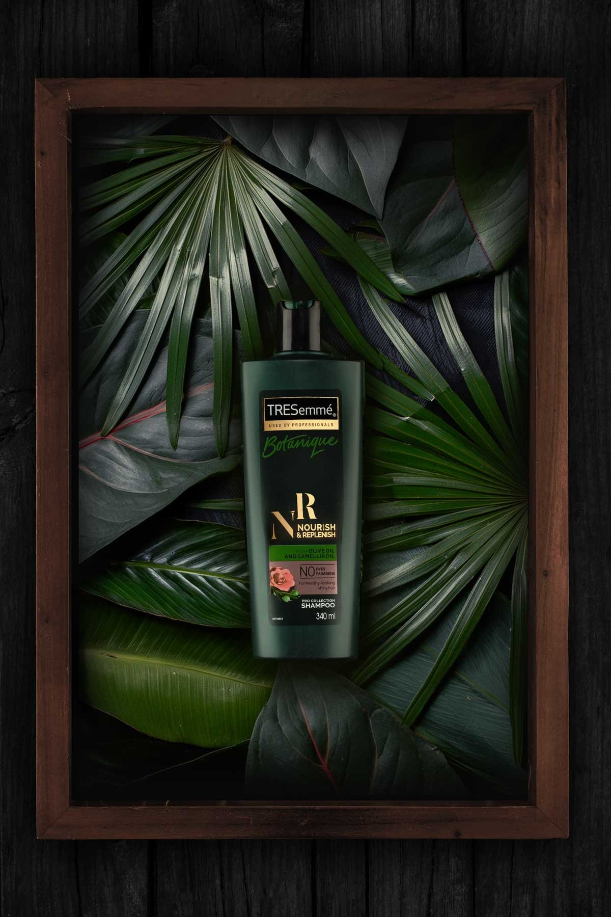 Botanical Bliss Rohan Reji Sajan Ernakulam Creative Hut